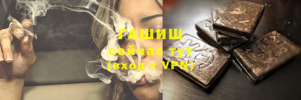 индика Чегем
